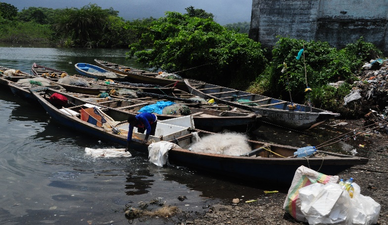 Lack of Coastal Rural Community Environmental Safety for Fish Famers