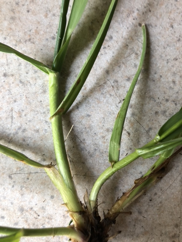 0390 DF6 F 5 F57 4 B99 B7 EC CC83314 F7702 1 105 c — Postimages