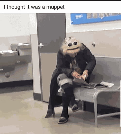 alf.jpg