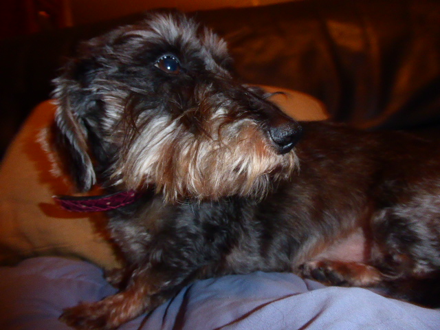 [Image: P1050722.jpg]