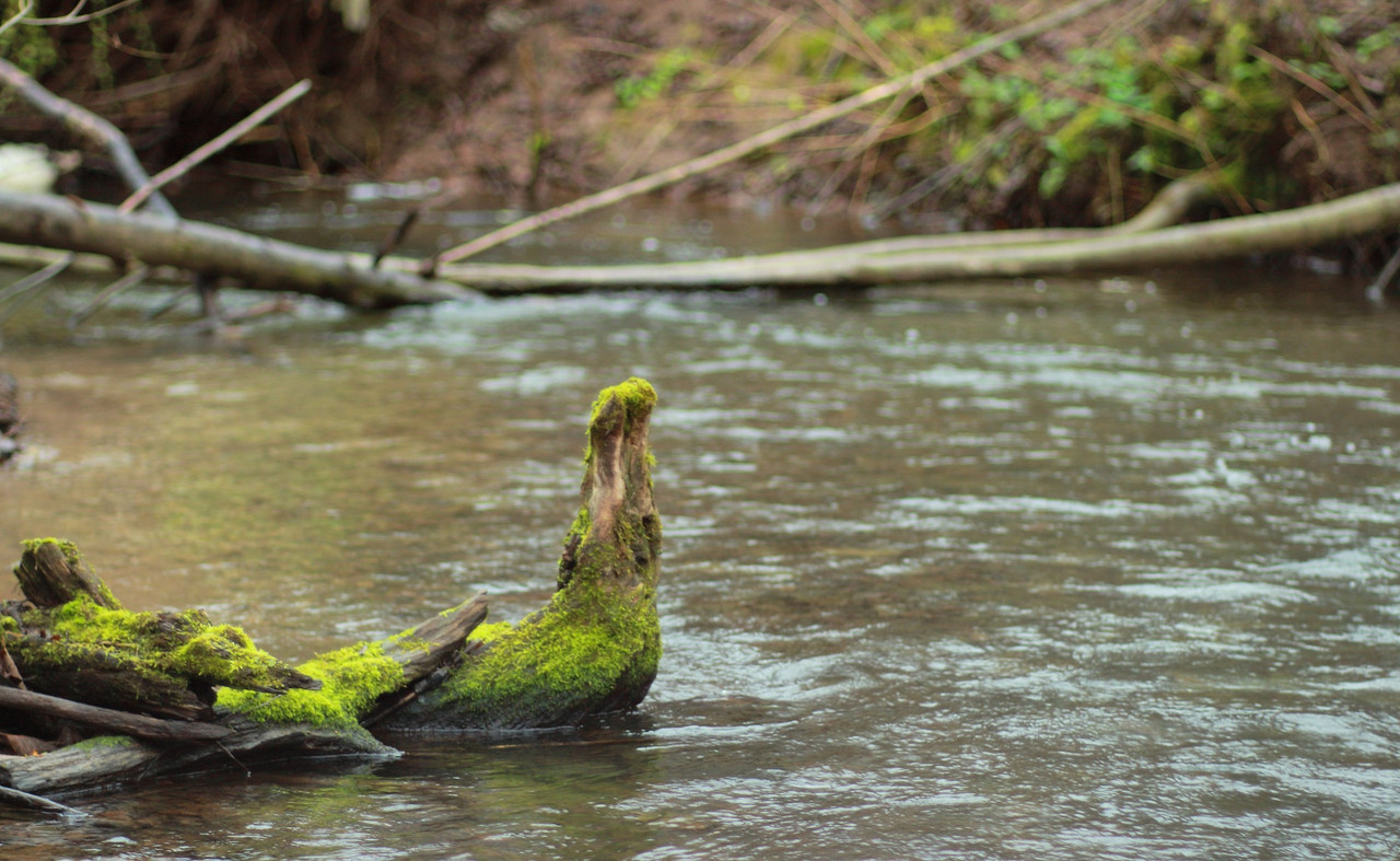 IMG_6637 (2531 x 1557)