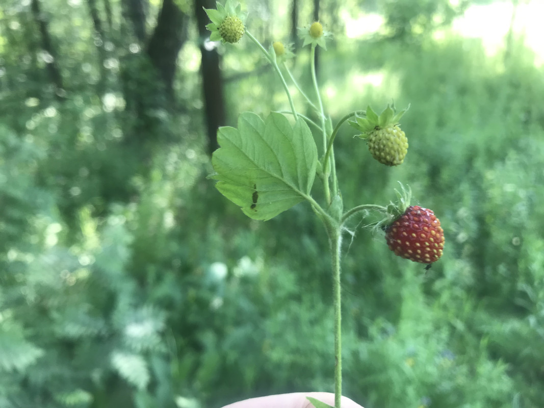 9D9E62FF-2EB0-4E20-86EC-4F17134C54E6