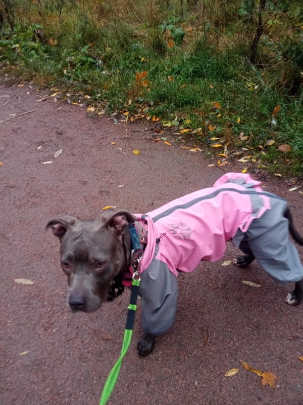 51FD5B0D-070A-4E76-8D1C-9B5D33A76CD5