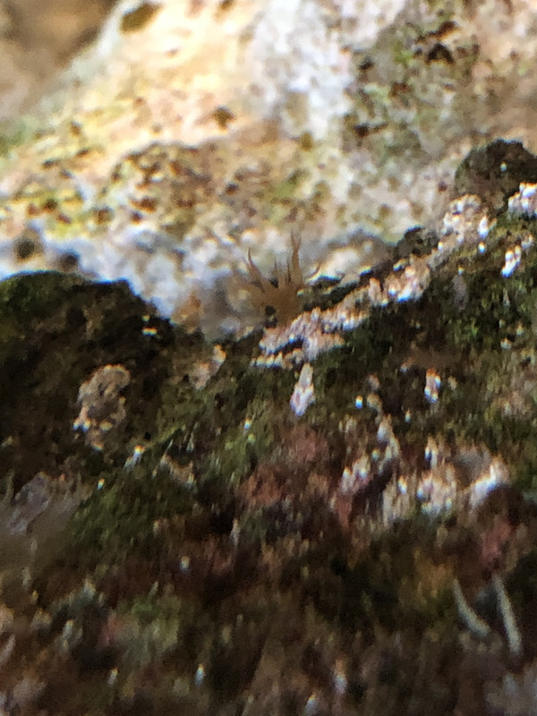 16662F84-615C-41BD-BCD2-8A2EBEAB3BF0