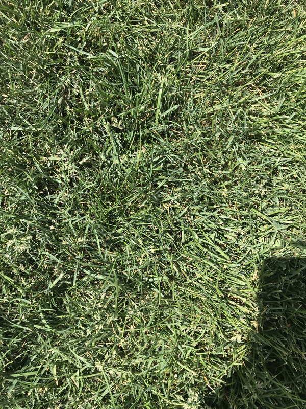 65B4A991-50E5-4F77-9E5E-38411F1D55D1