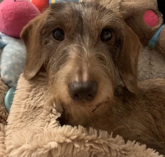 [Image: 4864283-D-8-DEF-46-BC-A97-E-A5934-D8-C93-CB.jpg]