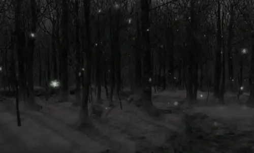 snow
