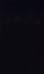 EFXGif13.gif