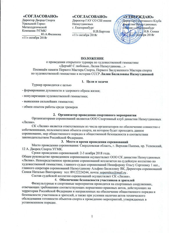 Положение стр1