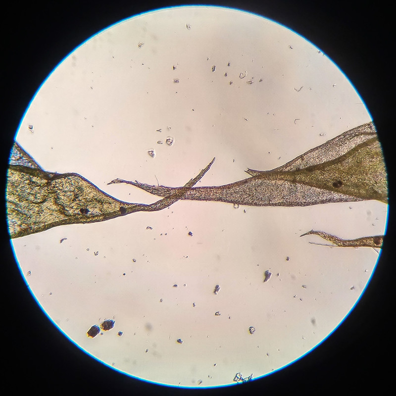 IMG 20250616 210205 HDR