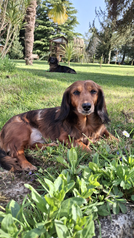 [Image: 20250405-170424-0.jpg]