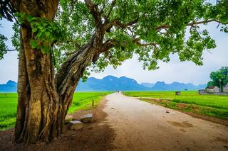Thơ Nguyễn Thành Sáng - Page 97 34189914066-ab747ce127-b
