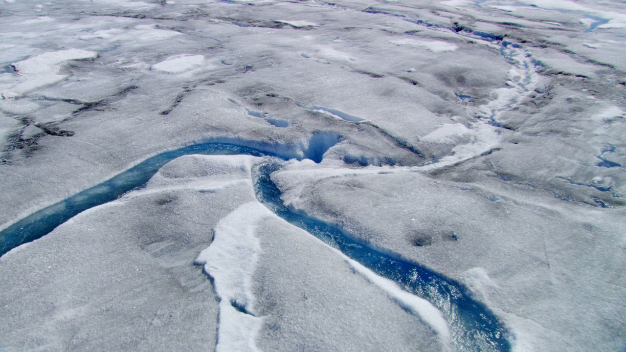 Home (2009).mkv_snapshot_01.29.53_[2018.03.13_00.01.45]