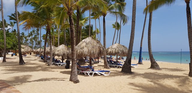 Hotel Grand Sirenis Punta Cana + Samana + Cortecito - Blogs de Dominicana Rep. - DIA 6 - HOTEL GRAND SIRENIS PUNTA CANA (2)