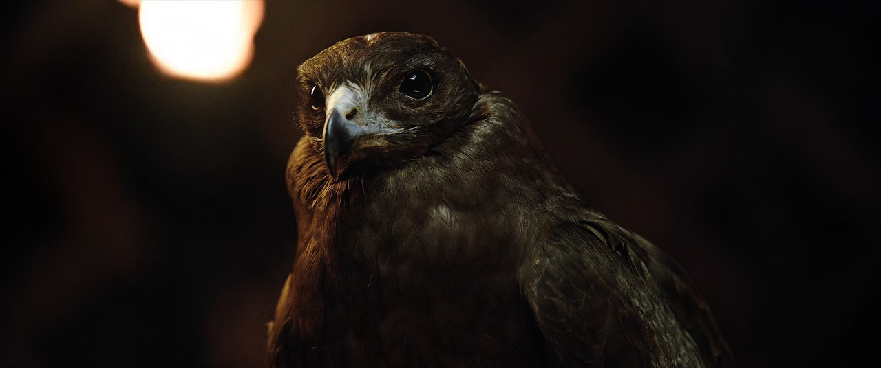 [HR] Mulan (2020) [Disney  1080p x265 E-OPUS 5.1]_09