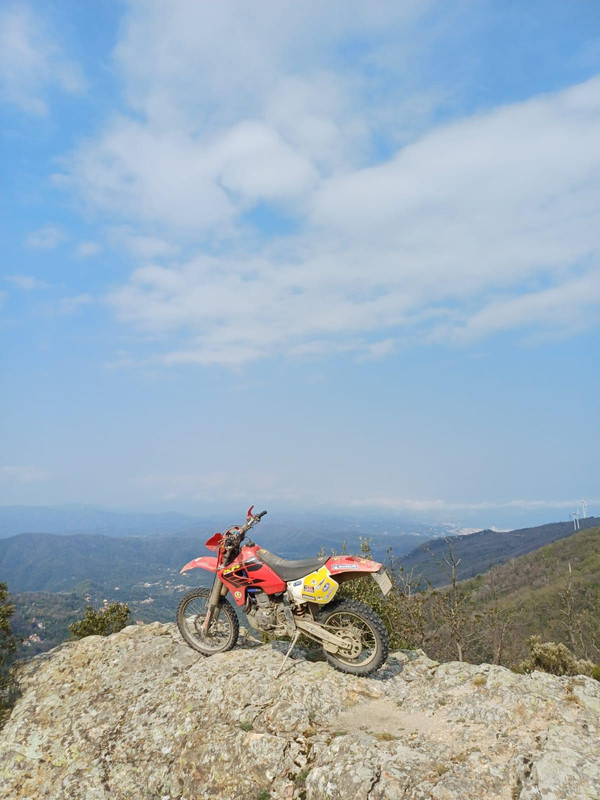 Whats App Image 2026 04 14 at 10 17 26