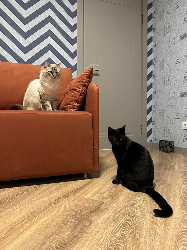 Печенька333e