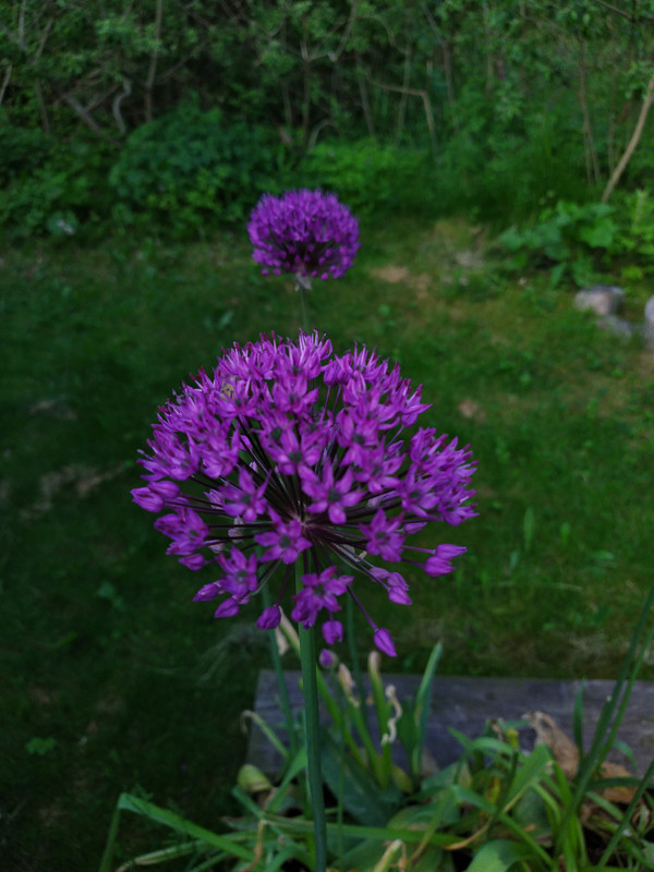 IMG_20210608_201247