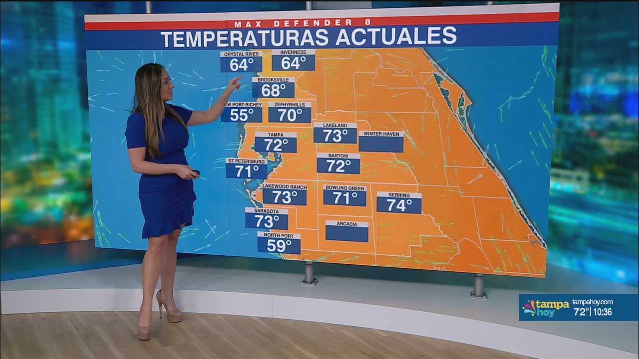Noticias Tampa Hoy_20250325_02300300.ts_snapshot_07.40.221