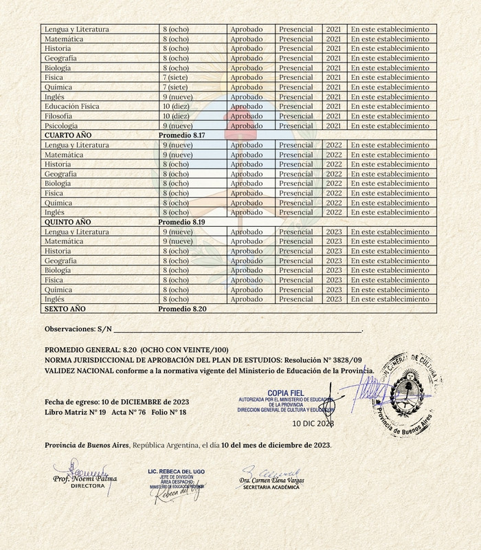 Analítico Dorso
