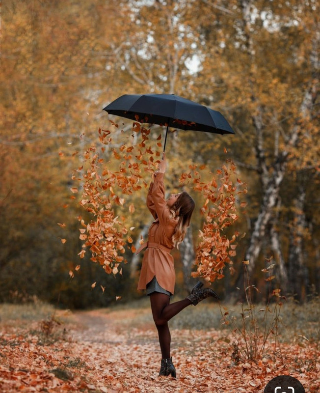 Screenshot_20231113_125755_Pinterest