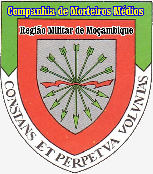 CMort-Med-RMM