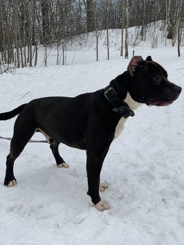 F9DA56C4-73F2-43C0-A7A7-40B4AE3F78C6