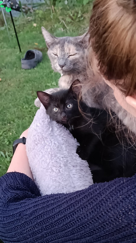 изображение_viber_2024-07-14_10-38-59-907