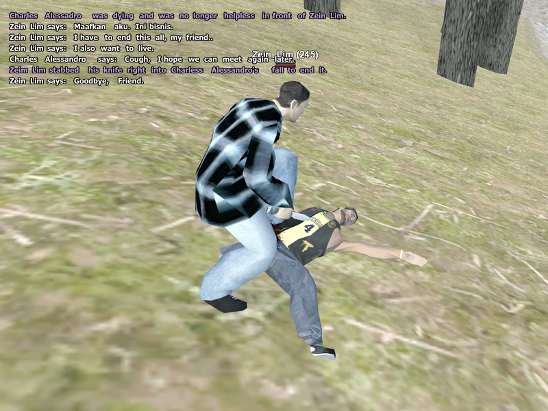 13.png