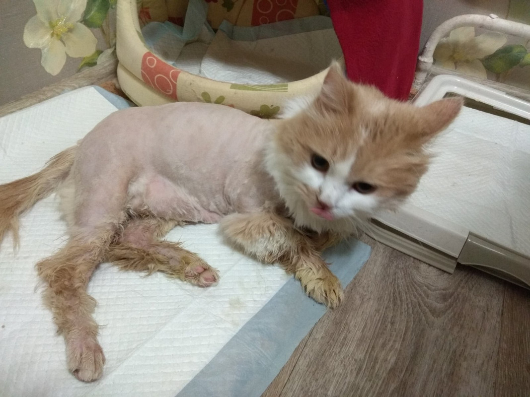 после процедур1