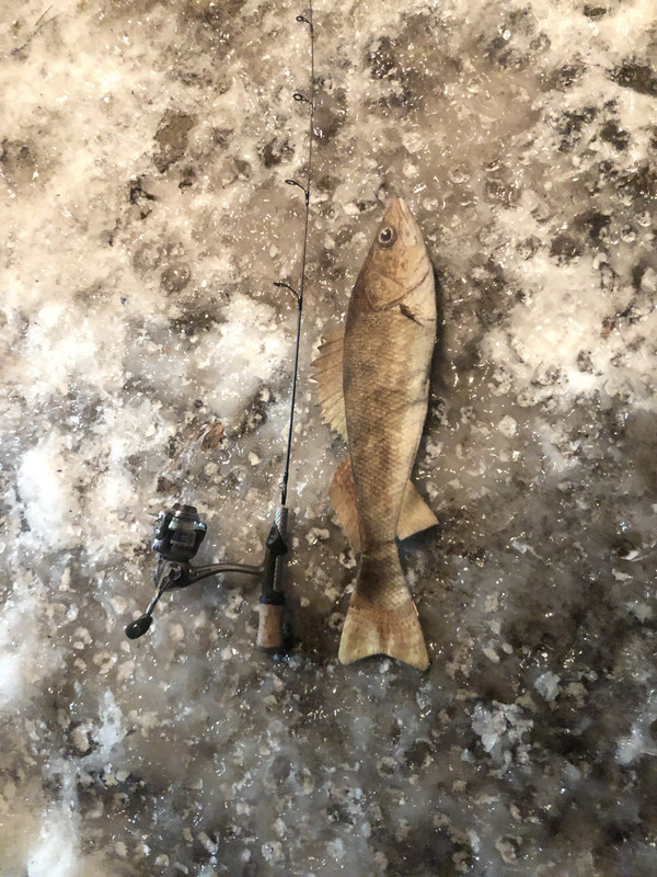 5BFCD1AF-4072-40AC-BB80-E88185898AAF