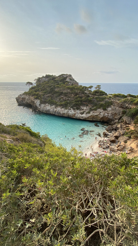 BBF6300D-DA47-46D0-821C-C8D093C9CEFA