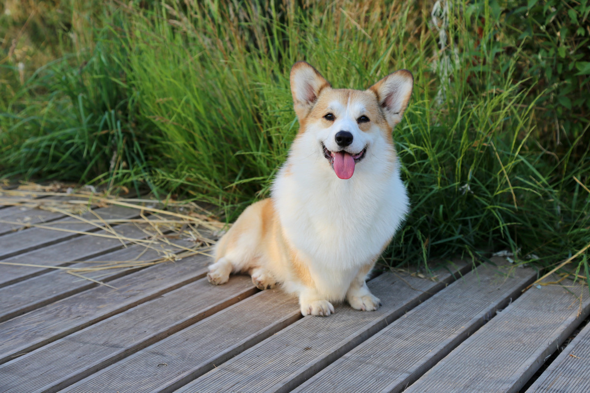 IMG_6291 3.07.21 супер