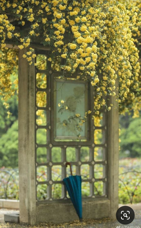 Screenshot_20240320_232225_Pinterest