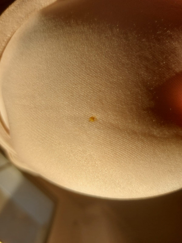 Immagine WhatsApp 2025-07-09 ore 20.55.39_a512fa57