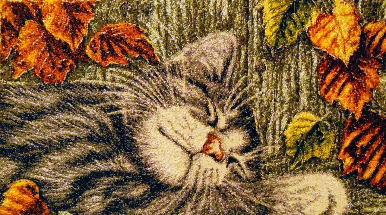 Котик для форумов