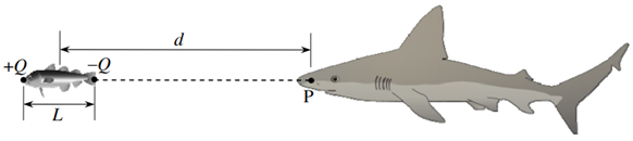 Đề thi HSG Vật lý 12 mới nhất theo hướng ứng dụng thực tế - Điện trường trên trục lưỡng cực