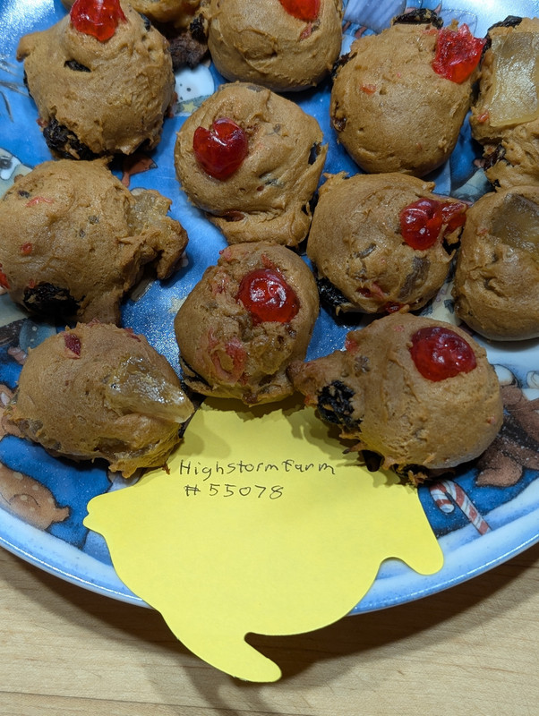 PXL 20251219 174905460 PORTRAIT ORIGINAL