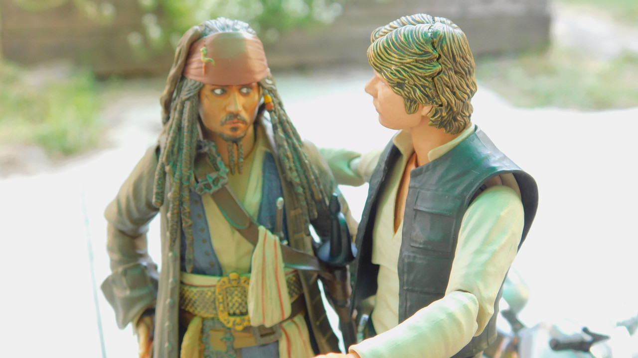 Дачно-Харлинский июнь-июль 2024 178