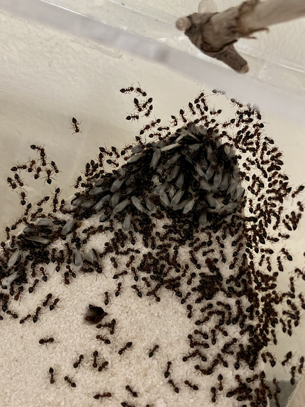 2F88D165-BCC0-4B18-9D43-EF4971A4A350