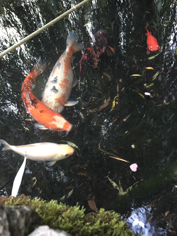 71034359-C7DF-4CFD-941C-EE6C8172C430