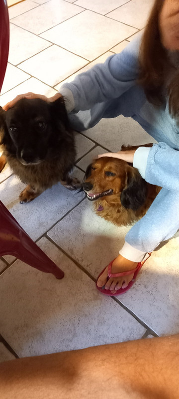 [Image: 20241006-093854.jpg]