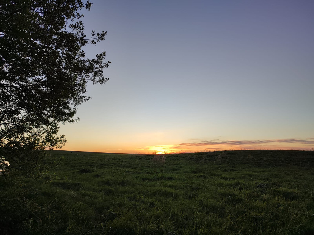 WhatsApp Image 2022-05-30 at 19.03.15 (1)