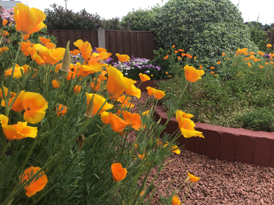 3EF22055-A4CA-4FB9-8197-572BBAB08BFF