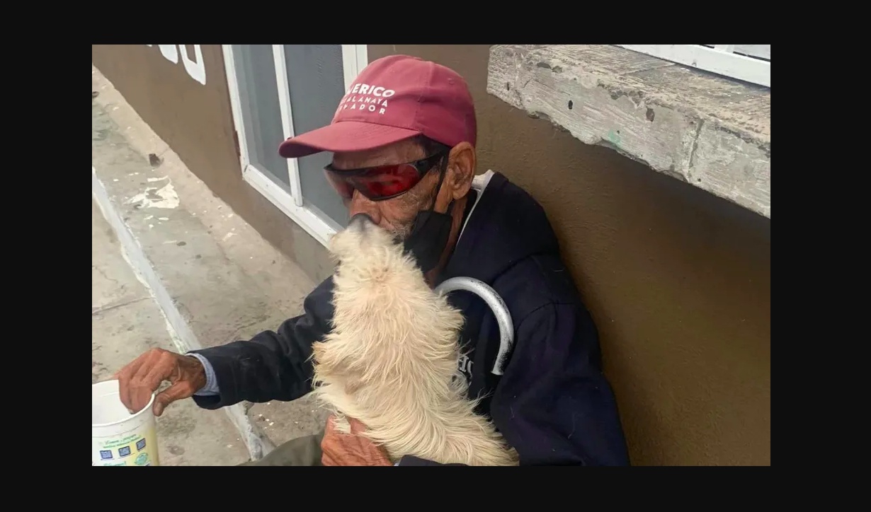 Viral: Abuelito invidente encuentra a su perro guía perdido 
