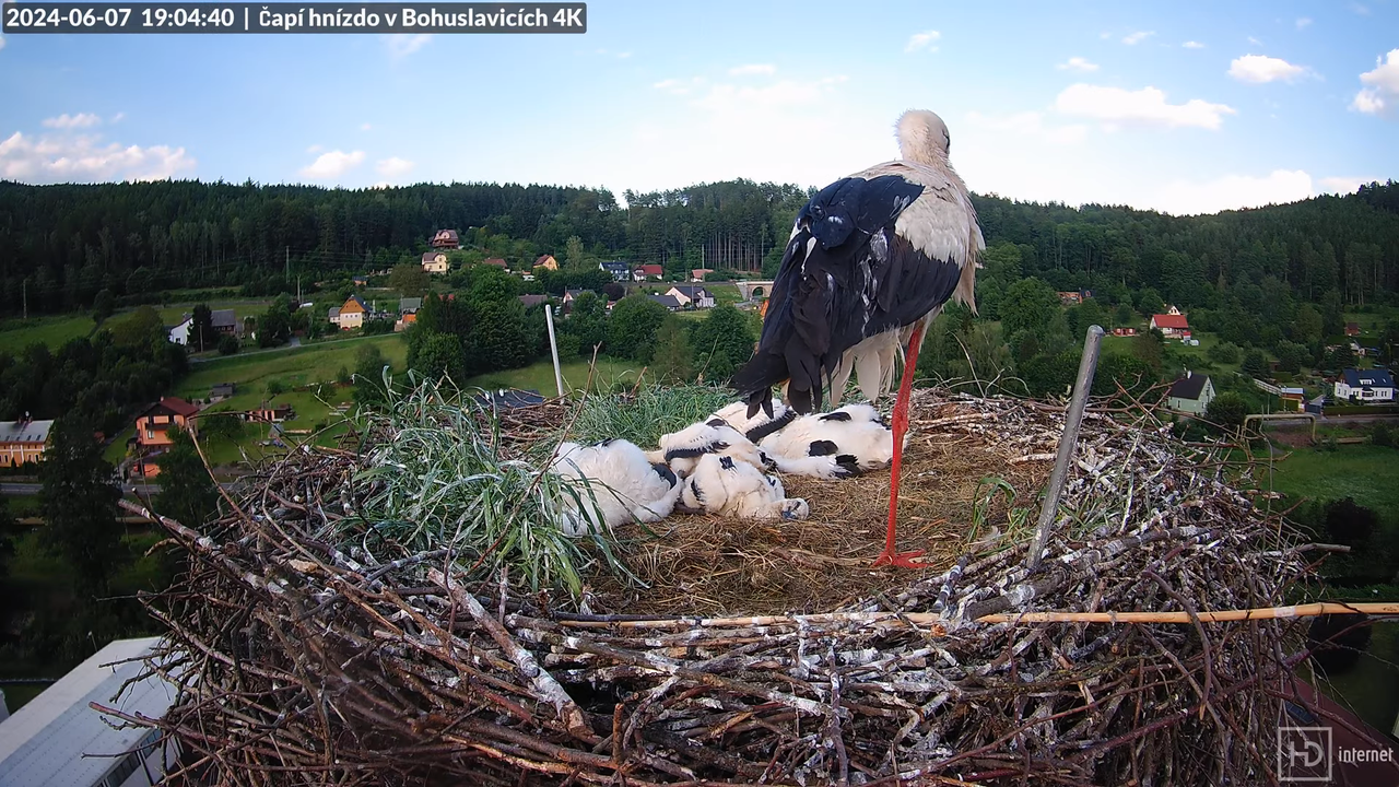 Tiešraidē no uzņēmuma KARA stārķa skursteņa Bohuslavicē pie Trutnovas 12-48-56 screenshot