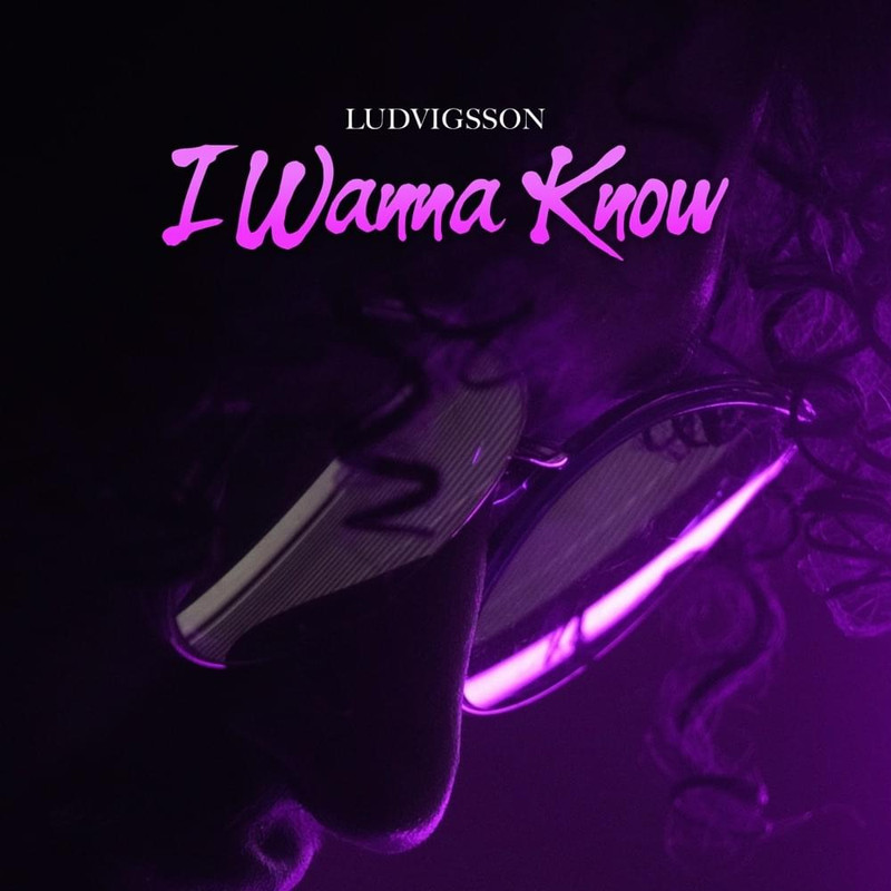 I Wanna Know Ludvigsson Single_ 2020 320 kbps Beats