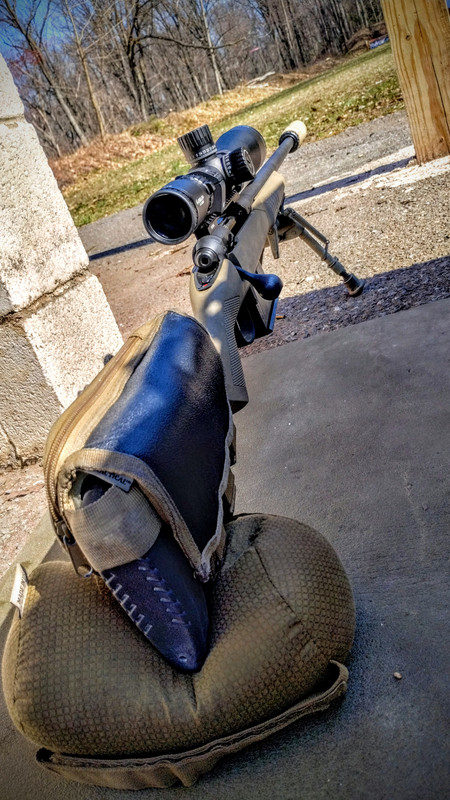 Picked up a 300 win mag Desert Tactical