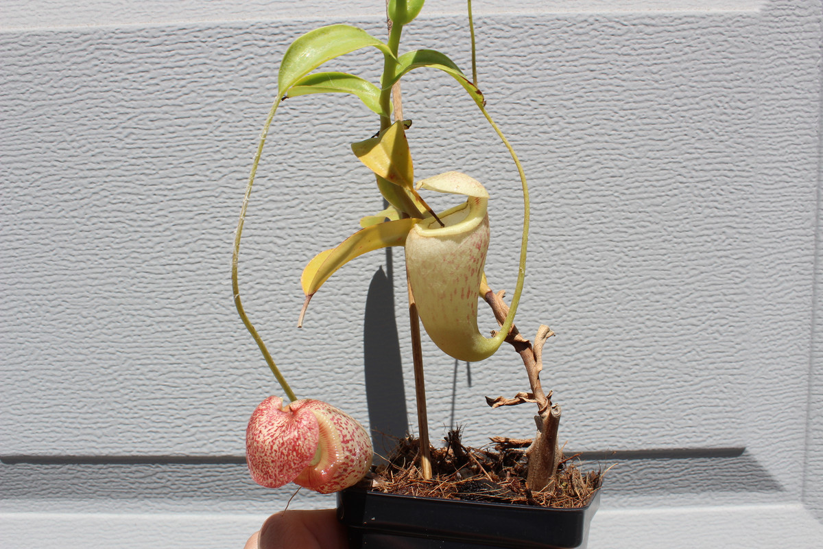 8848FB28-75FF-411E-9B5D-AA0C4C2261A5