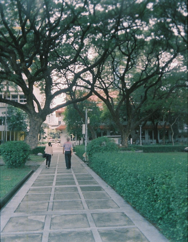 Vision3-HF-31-L-resize